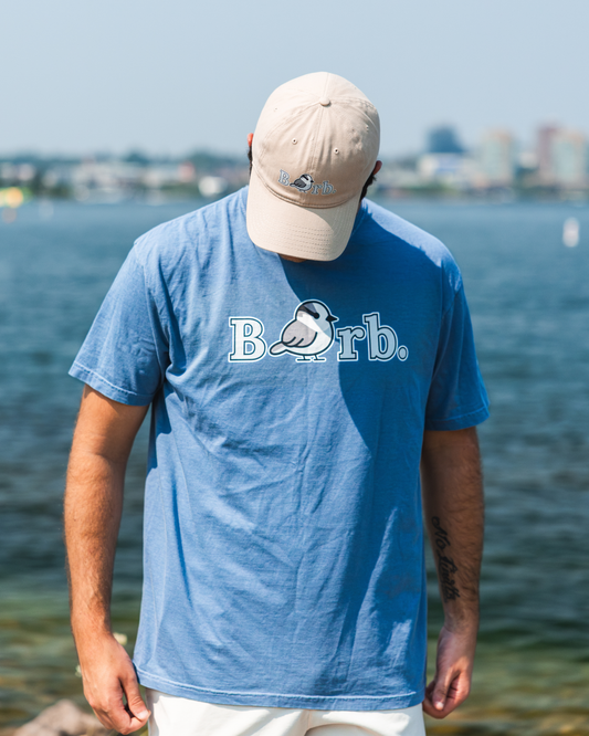 Overlook Tee - Grey Jay